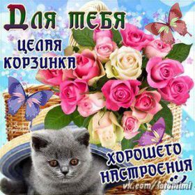 Открытка. Открытки для подруг Открытка для подружки, картинка для подружки, надпись моей подруге Открытка для подружки, картинка для подружки, надпись моей подруге, картинка для любимой подружке, люблю свою подругу, открытка лучшей подруге, картинка для тебя моя подружка