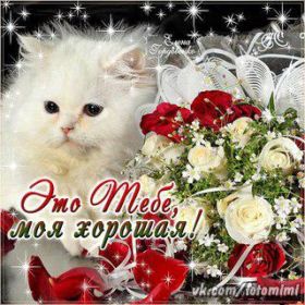 Открытка. Открытки для подруг Открытка для подружки, картинка для подружки, надпись моей подруге Открытка для подружки, картинка для подружки, надпись моей подруге, картинка для любимой подружке, люблю свою подругу, открытка лучшей подруге, картинка для тебя моя подружка