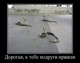 Открытка. Открытки для подруг Открытка для подружки, картинка для подружки, надпись моей подруге Открытка для подружки, картинка для подружки, надпись моей подруге, картинка для любимой подружке, люблю свою подругу, открытка лучшей подруге, картинка для тебя моя подружка