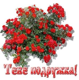 Открытка. Открытки для подруг Открытка для подружки, картинка для подружки, надпись моей подруге Открытка для подружки, картинка для подружки, надпись моей подруге, картинка для любимой подружке, люблю свою подругу, открытка лучшей подруге, картинка для тебя моя подружка