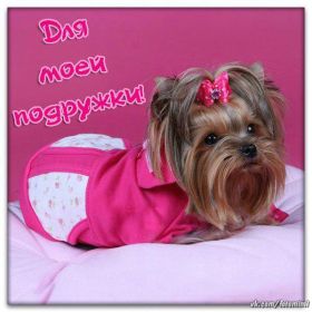 Открытка. Открытки для подруг Открытка для подружки, картинка для подружки, надпись моей подруге Открытка для подружки, картинка для подружки, надпись моей подруге, картинка для любимой подружке, люблю свою подругу, открытка лучшей подруге, картинка для тебя моя подружка