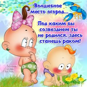 Открытка. Открытки про лето Открытка про дачу, прикол про дачу, картинка про дачу, дача Открытка про дачу, прикол про дачу, картинка про дачу, дача, картинка про огород, огород, открытка огород, прикол про огород