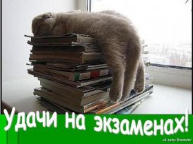 Открытка. Открытки про лето Открытка про каникулы, картинка каникулы, открытка последний звонок Открытка про каникулы, картинка каникулы, открытка последний звонок, картинка последний звонок, картинка скоро каникулы, картинка с окончанием учебного года, картинка с окончанием школы