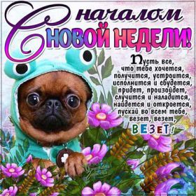 Открытка. Открытки про дни недели Открытка счастливой недели, картинка удачной недели, желаю удачной недели Открытки про субботу, картинка суббота, желаю хорошей субботы, открытка отличной недели, поздравляю с началом новой недели, картинка успешной недели, картинка легкой недели