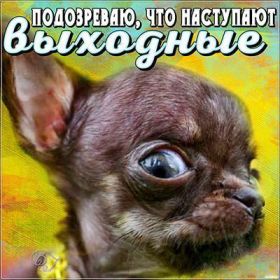 Открытка. Открытки про дни недели Открытка хороших выходных, картинка отличных выходных, картинка воскресенье Открытка хороших выходных, картинка отличных выходных, картинка воскресенье, картинка выходные, открытка выходные, надпись выходные, желаю классных выходных, картинка замечательных выходных