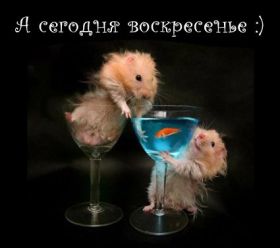 Открытка. Открытки про дни недели Открытка хороших выходных, картинка отличных выходных, картинка воскресенье Открытка хороших выходных, картинка отличных выходных, картинка воскресенье, картинка выходные, открытка выходные, надпись выходные, желаю классных выходных, картинка замечательных выходных