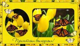 Открытка. Открытки про дни недели Открытка хороших выходных, картинка отличных выходных, картинка воскресенье Открытка хороших выходных, картинка отличных выходных, картинка воскресенье, картинка выходные, открытка выходные, надпись выходные, желаю классных выходных, картинка замечательных выходных