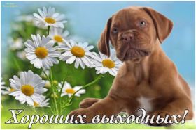 Открытка. Открытки про дни недели Открытка хороших выходных, картинка отличных выходных, картинка воскресенье Открытка хороших выходных, картинка отличных выходных, картинка воскресенье, картинка выходные, открытка выходные, надпись выходные, желаю классных выходных, картинка замечательных выходных