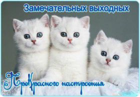 Открытка. Открытки про дни недели Открытка хороших выходных, картинка отличных выходных, картинка воскресенье Открытка хороших выходных, картинка отличных выходных, картинка воскресенье, картинка выходные, открытка выходные, надпись выходные, желаю классных выходных, картинка замечательных выходных