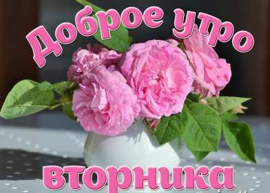 Открытка! Открытка доброе утро вторника, с добрым утром вторник, пожелания