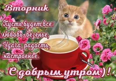 Открытка! Открытка доброе утро вторника, с добрым утром вторник, пожелания
