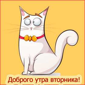 Открытка! Открытка доброе утро вторника, с добрым утром вторник, пожелания