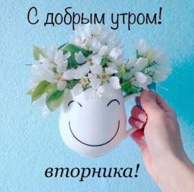 Открытки доброе утро вторника Открытка доброе утро вторника, с добрым утром вторник, пожелания Открытки картинки открытка картинка доброго вторника, доброе утро вторника, вторник, открытка картинка доброе утро вторника, доброго вторника, пожелания доброго утра вторника