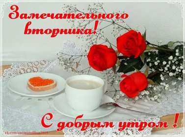 Открытки доброе утро вторника Открытка доброе утро вторника, с добрым утром вторник, пожелания Открытки картинки открытка картинка доброго вторника, доброе утро вторника, вторник, открытка картинка доброе утро вторника, доброго вторника, пожелания доброго утра вторника