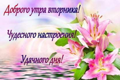 Открытки доброе утро вторника Открытка доброе утро вторника, с добрым утром вторник, пожелания Открытки картинки открытка картинка доброго вторника, доброе утро вторника, вторник, открытка картинка доброе утро вторника, доброго вторника, пожелания доброго утра вторника