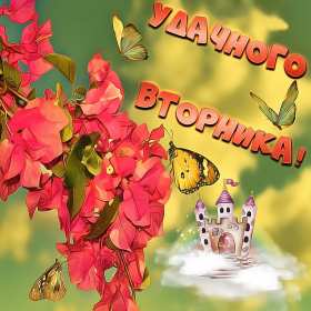 Открытки доброе утро вторника Открытка доброе утро вторника, с добрым утром вторник, пожелания Открытки картинки открытка картинка доброго вторника, доброе утро вторника, вторник, открытка картинка доброе утро вторника, доброго вторника, пожелания доброго утра вторника