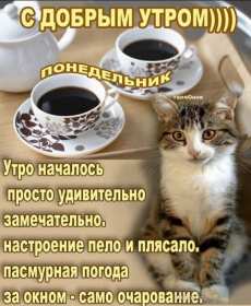 Открытка! Открытка доброе утро понедельника, с добрым утром понедельник