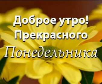 Открытка! Открытка доброе утро понедельника, с добрым утром понедельник