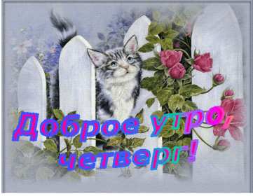 Открытки доброе утро четверга Открытка картинка с пожеланием доброго утра четверга, доброго четверга Открытка открытки картинка картинки доброго утра четверга, с добрым утром четверга, четверг, открытка картинка красивая доброго четверга, доброе утро четверга скачать