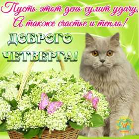 Открытки доброе утро четверга Открытка картинка с пожеланием доброго утра четверга, доброго четверга Открытка открытки картинка картинки доброго утра четверга, с добрым утром четверга, четверг, открытка картинка красивая доброго четверга, доброе утро четверга скачать