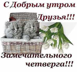 Открытки доброе утро четверга Открытка картинка с пожеланием доброго утра четверга, доброго четверга Открытка открытки картинка картинки доброго утра четверга, с добрым утром четверга, четверг, открытка картинка красивая доброго четверга, доброе утро четверга скачать