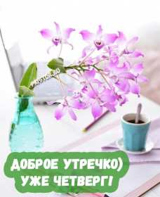 Открытки доброе утро четверга Открытка картинка с пожеланием доброго утра четверга, доброго четверга Открытка открытки картинка картинки доброго утра четверга, с добрым утром четверга, четверг, открытка картинка красивая доброго четверга, доброе утро четверга скачать