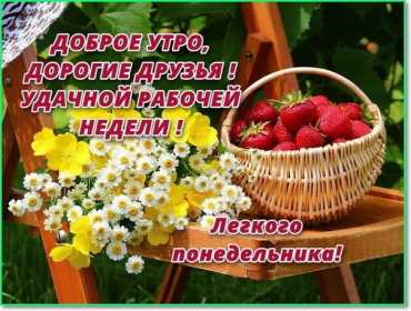 Открытка! Открытка красивая с добрым утром, доброго утра понедельника