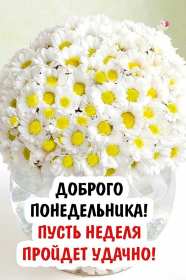 Открытка! Открытка красивая с добрым утром, доброго утра понедельника