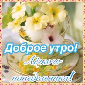 Открытка! Открытка красивая с добрым утром, доброго утра понедельника