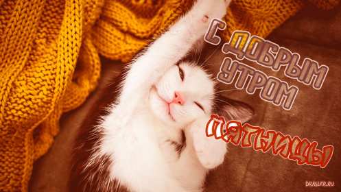 Открытки доброе утро пятницы Открытка красивая с добрым утром пятницы, доброе утро пятница Открытка открытки картинка картинки с добрым утром пятницы, яркие пожелания доброго пятничного утра, открытка картинка пятница с добрым утром, доброе утро пятницы скачать