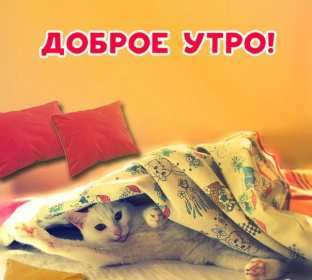 Открытки доброе утро пятницы Открытка красивая с добрым утром пятницы, доброе утро пятница Открытка открытки картинка картинки с добрым утром пятницы, яркие пожелания доброго пятничного утра, открытка картинка пятница с добрым утром, доброе утро пятницы скачать