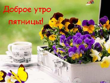 Открытки доброе утро пятницы Открытка красивая с добрым утром пятницы, доброе утро пятница Открытка открытки картинка картинки с добрым утром пятницы, яркие пожелания доброго пятничного утра, открытка картинка пятница с добрым утром, доброе утро пятницы скачать