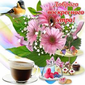 Открытка! Открытка красивая с пожеланиями доброго воскресного утра, воскресенье