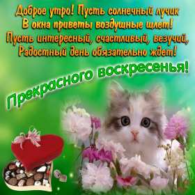 Открытка! Открытка красивая с пожеланиями доброго воскресного утра, воскресенье