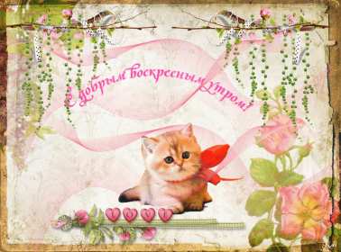 Открытка! Открытка красивая с пожеланиями доброго воскресного утра, воскресенье