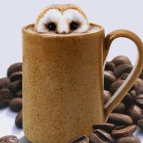 Открытки доброе утро среды Открытка с добрым утром среды, доброе утро среда, доброй среды Открытки открытка картинки картинка яркая с добрым утром среды, среда доброе утро, доброй среды, открытка картинка доброе утро среда, пожелания доброго утра среды.