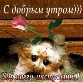 Открытки доброе утро среды Открытка с добрым утром среды, доброе утро среда, доброй среды Открытки открытка картинки картинка яркая с добрым утром среды, среда доброе утро, доброй среды, открытка картинка доброе утро среда, пожелания доброго утра среды.