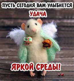 Открытки доброе утро среды Открытка с добрым утром среды, доброе утро среда, доброй среды Открытки открытка картинки картинка яркая с добрым утром среды, среда доброе утро, доброй среды, открытка картинка доброе утро среда, пожелания доброго утра среды .
