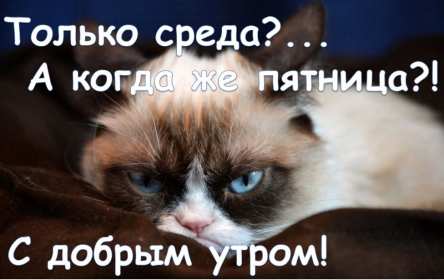 Открытки доброе утро среды Открытка с добрым утром среды, доброе утро среда, доброй среды Открытки открытка картинки картинка яркая с добрым утром среды, среда доброе утро, доброй среды, открытка картинка доброе утро среда, пожелания доброго утра среды .