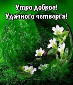 Открытка! Открытка с добрым утром четверга, доброе утро четверг пожелания
