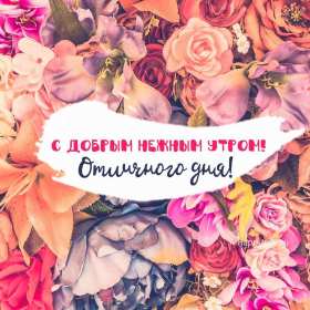 Открытки доброе утро четверга Открытка с добрым утром четверга, доброе утро четверг пожелания Открытка картинка открытки картинки доброе утро четверга, пожелания доброго утра четверга, доброго четверга, яркие открытки картинки с добрым утром четверга скачать
