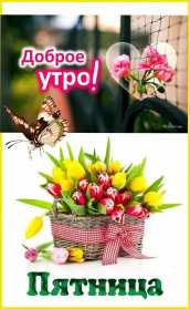 Открытки доброе утро пятницы Открытка с пожеланиями доброго утра пятницы, пятница доброе утро Открытки картинки открытка картинка доброе утро пятницы, с добрым утром пятница, открытка картинка пожелания доброго утра пятницы, яркая картинка с добрым пятничным утром