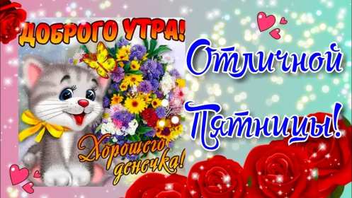 Открытки доброе утро пятницы Открытка с пожеланиями доброго утра пятницы, пятница доброе утро Открытки картинки открытка картинка доброе утро пятницы, с добрым утром пятница, открытка картинка пожелания доброго утра пятницы, яркая картинка с добрым пятничным утром