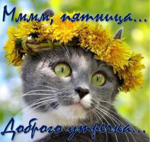 Открытки доброе утро пятницы Открытка с пожеланиями доброго утра пятницы, пятница доброе утро Открытки картинки открытка картинка доброе утро пятницы, с добрым утром пятница, открытка картинка пожелания доброго утра пятницы, яркая картинка с добрым пятничным утром