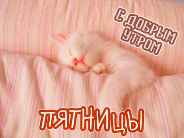 Открытки доброе утро пятницы Открытка с пожеланиями доброго утра пятницы, пятница доброе утро Открытки картинки открытка картинка доброе утро пятницы, с добрым утром пятница, открытка картинка пожелания доброго утра пятницы, яркая картинка с добрым пятничным утром