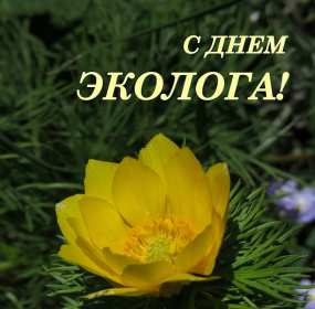 Открытка! Открытки с днём эколога, поздравления с праздником день эколога