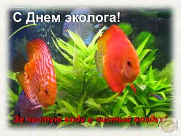 Открытки день эколога Открытки с днём эколога, поздравления с праздником день эколога Открытка картинка день эколога, открытки картинки с днём эколога, на день эколога, 5 июня день эколога, поздравления с днём эколога, открытка картинка красивая с днём эколога