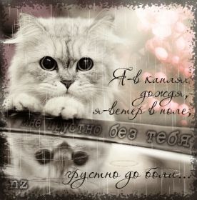 Открытка. Фразочки Прикольные картинки, прикольные надписи, фразочки, фразы, цитаты Прикольные картинки, прикольные надписи, фразочки, фразы, цитаты, высказывания, прикольная открытка, прикольная картинка, анекдот, приколы про женщин, приколы для женщин