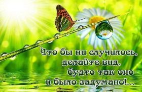 Открытка. Фразочки Прикольные картинки, прикольные надписи, фразочки, фразы, цитаты Прикольные картинки, прикольные надписи, фразочки, фразы, цитаты, высказывания, прикольная открытка, прикольная картинка, анекдот, приколы про женщин, приколы для женщин