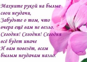 Открытка. Фразочки Прикольные картинки, прикольные надписи, фразочки, фразы, цитаты Прикольные картинки, прикольные надписи, фразочки, фразы, цитаты, высказывания, прикольная открытка, прикольная картинка, анекдот, приколы про женщин, приколы для женщин